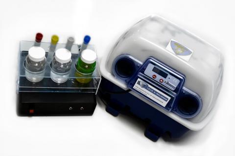 Concorso FAST: I GIOVANI E LE SCIENZE