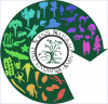 Logo olimpiadi scienze